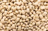 Photo of لوبية نص كيلو
