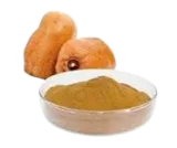 Photo of دوم بدرة نص كيلو