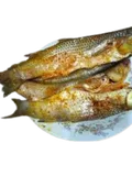 Photo of ملوحة نص كيلو